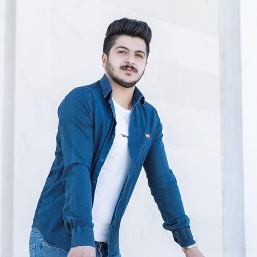 امیر سیاوشی