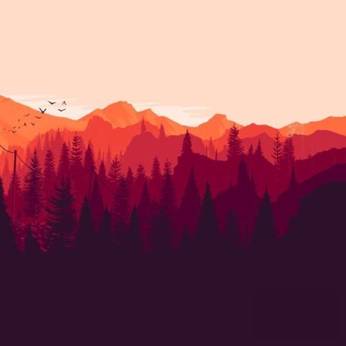 ننداز بام کورس چپ میکنی داف تورو با پونصد