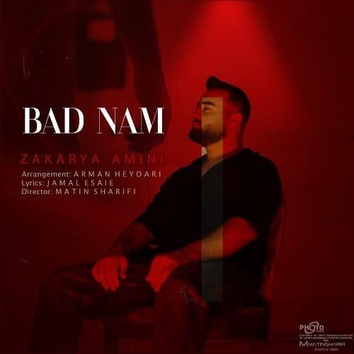 زکریا امینی