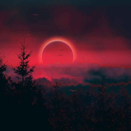 شب همیشه شب نمیمونه میبریم ما بی‌ چک و چونه