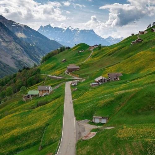 چه خبره خر تو خره عمو سبزی فروش