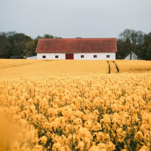 وقتی فاصله افتاد خاطره ها شد قاتل ما