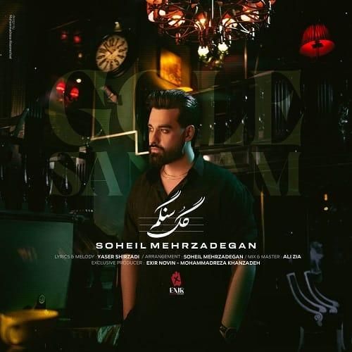 سهیل مهرزادگان