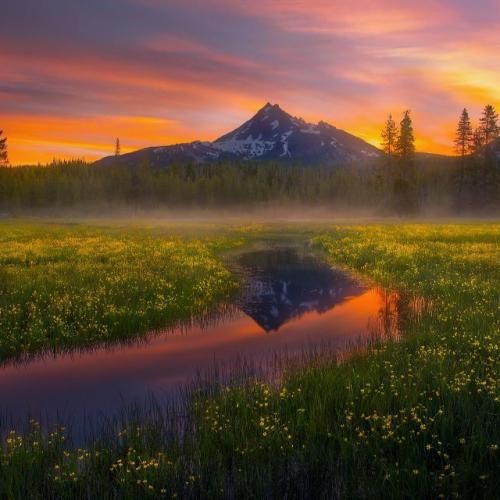 صبر داشته باش یکم دیگه میشیم خلاص