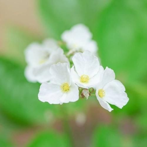 صدای چیک چیک آب میاد اونم مثل امیدمون ته کشید