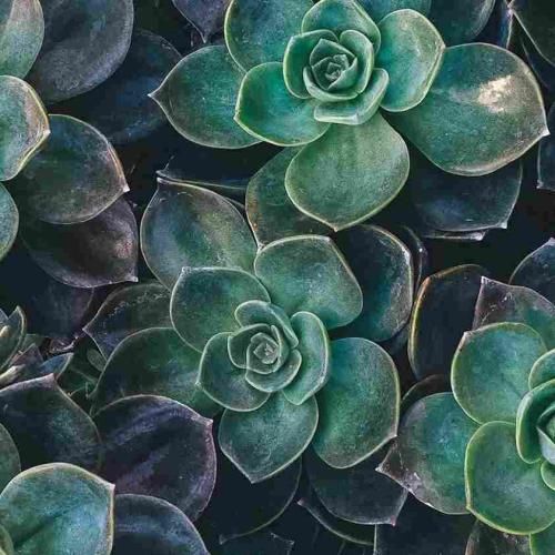 خودم میدونم نمیخواد بگی وای چه زشت میخوام دوستامو