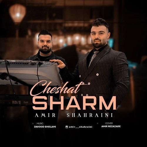 امیر شهرایینی