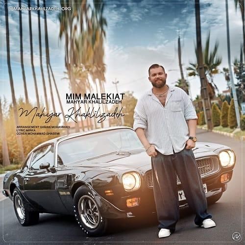 مهیار خلیل زاده