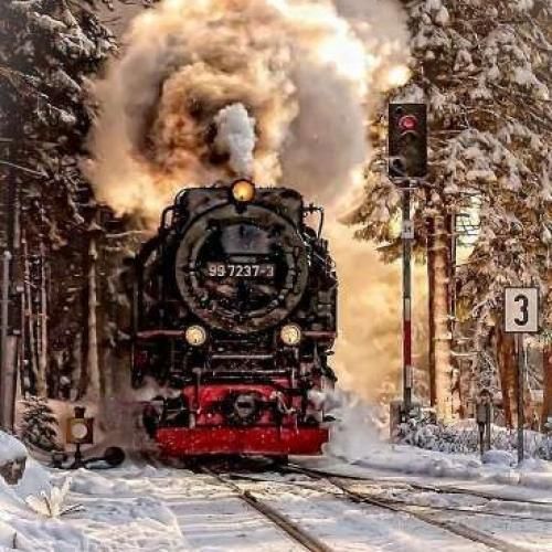 عزیزم بپر بالا بیا پیشم سوار شو جون