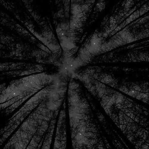 دیگه داره تموم میشه سفید حاجی بارشا