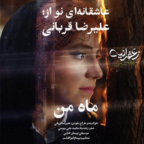 علیرضا قربانی