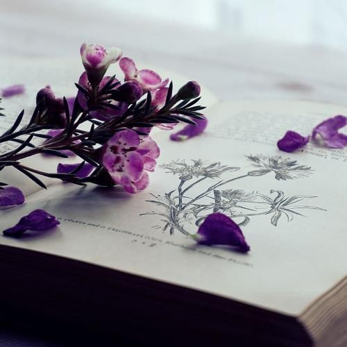 ندارید هیچکدومتون مثل ما برش به تی ام نمیخورید