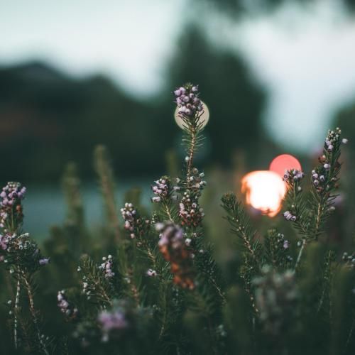 گریه کن بغل دستم فیکه چون تنم یخ زد