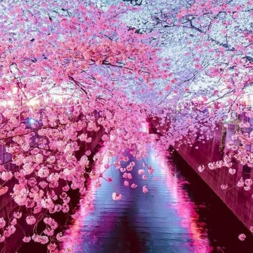 این کارا برا چیته میدونم میدونی بری این دیوونه