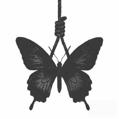 هیپهاپولوژیست