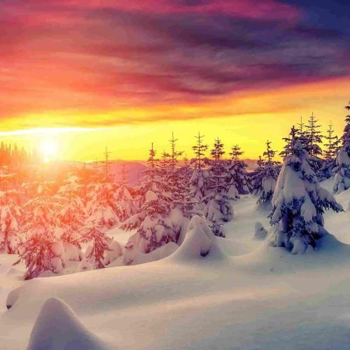 شدم تک و تنها الان شده دردم لاعلاج دیگه قلبم