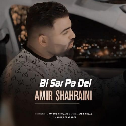 امیر شهرایینی