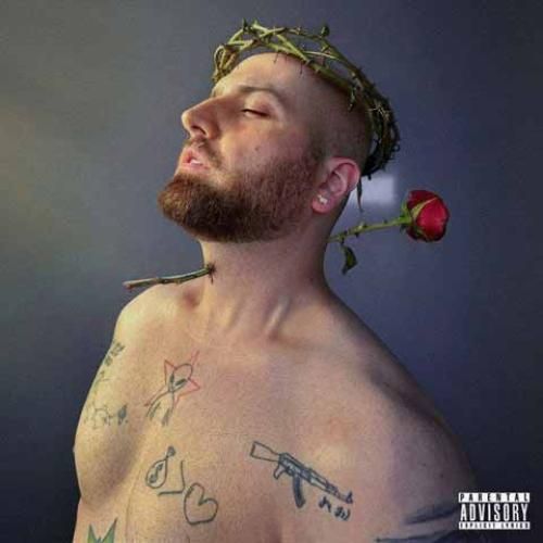 هیپهاپولوژیست