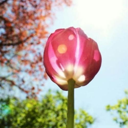 ورساچی سته مشکی آبی دیلرمم ترکیه‌ س مرسی آبی