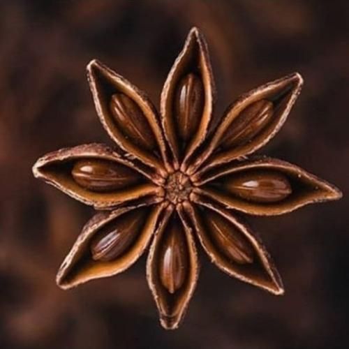 شاید مردم اینجوری حداقل میبینم تورو