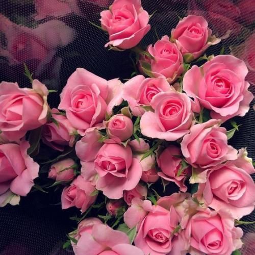 دارم روانی میشمو انگار بود همین دیشب