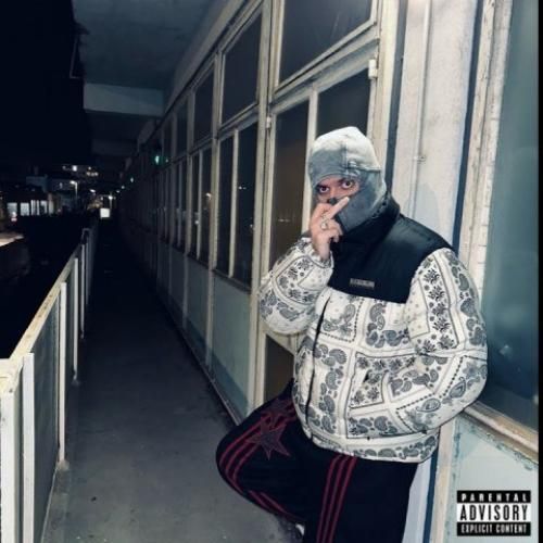 هیپهاپولوژیست