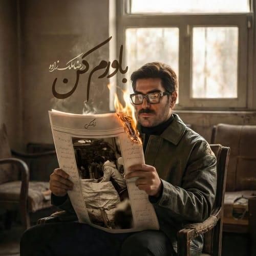 رضا ملک زاده