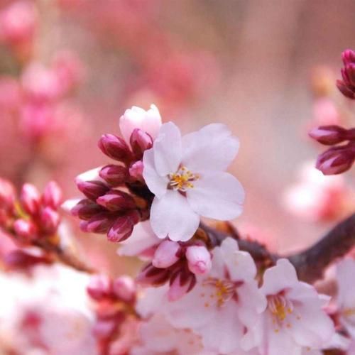 خوش خنده بود یه رو این برج زهرمار ندید ما رو