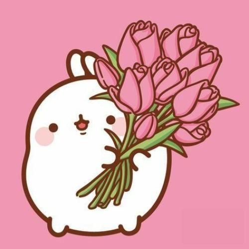 هر کی پرسید ازت زدم بهش لبخند