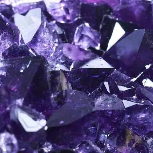 هرکی اومده بره این خونه شه خالی