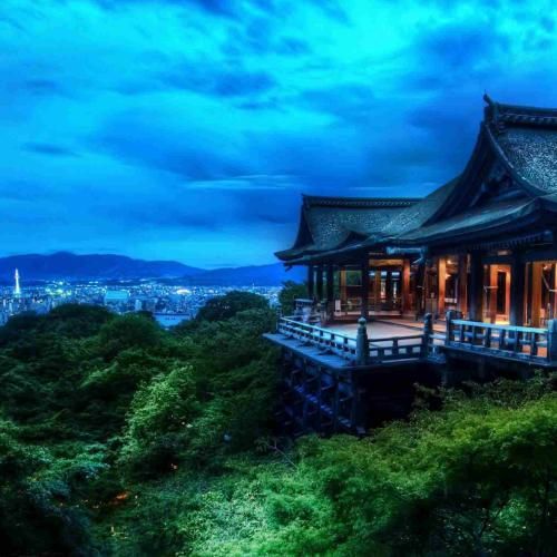 فاطمه عطایی